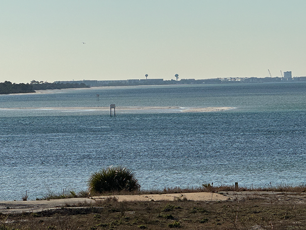 Why Crab Island Looks Different: Lower Low Tides in Destin