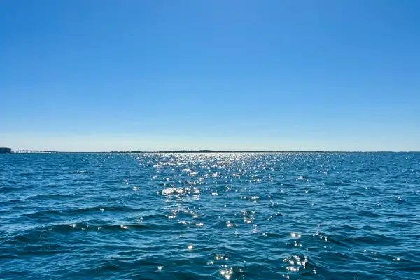 Destin Harbor Boat Ride & Possible Dolphin Sightings