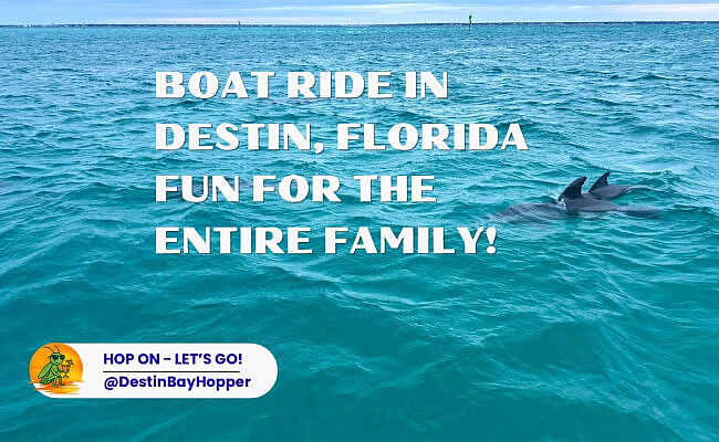 Peaceful Winter Boat Ride in Destin | Dolphins & Harbor Views