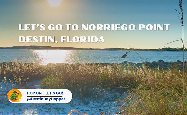 A Little Journey Through Norriego Point | Destin, Florida