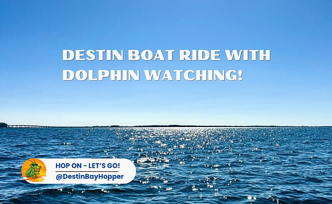 Destin Boat Ride On The Hopper | Searching For Dolphins